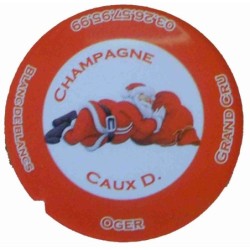 Flan 6 capsule champagne Caux Dominique noel 2012""
